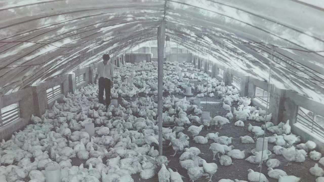 非凡国际(中国区)-官方网站