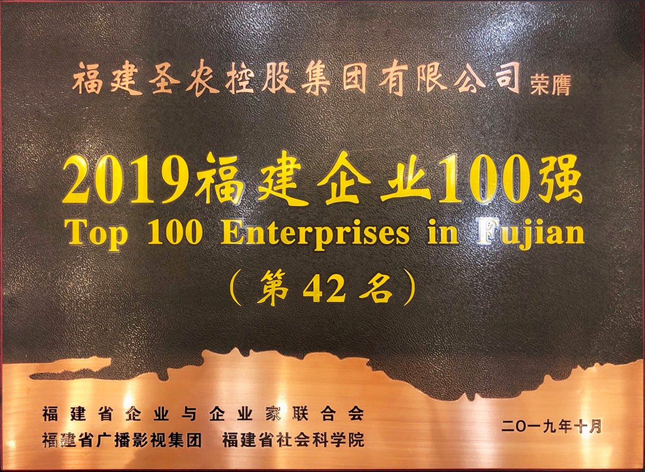 2019（非凡国际集团）福建企业100强